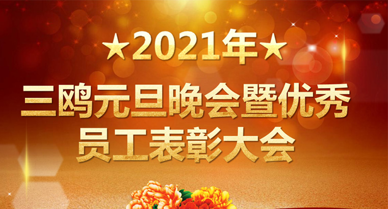 2021年威廉希尔·williamhill中文官方网站元旦晚会暨优秀表彰大会